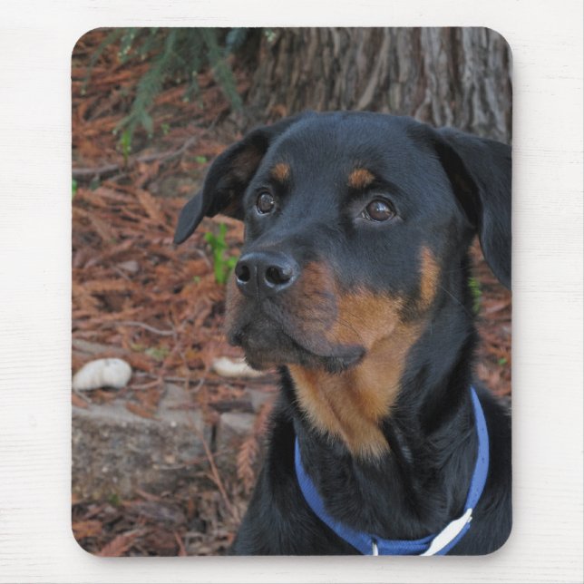 Rottweiler by Redwood Tree Mouse Pad (Front)
