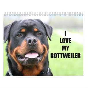 Rottweiler Calendar
