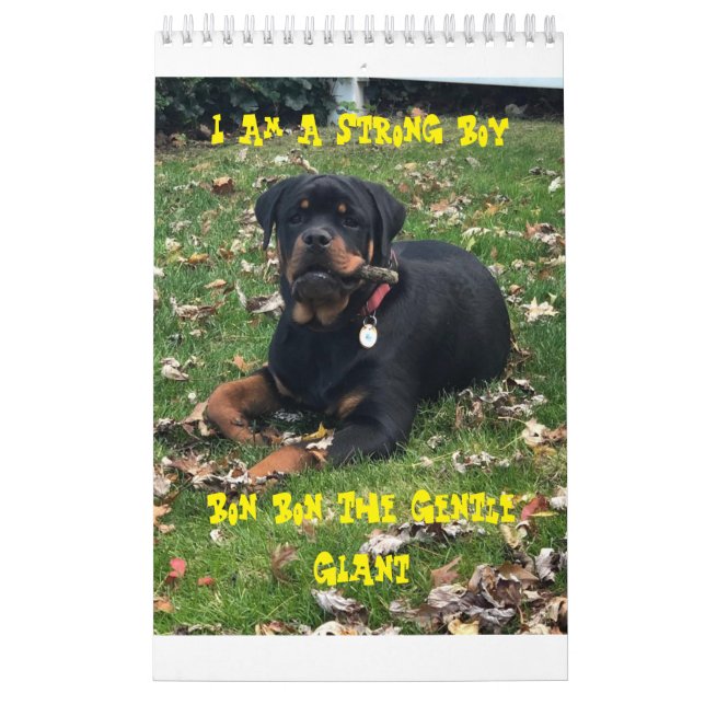 Rottweiler Calendar  (Cover)