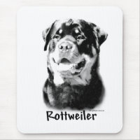 Rottweiler Charcoal
