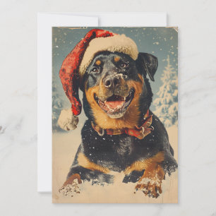 Rottweiler Christmas Holiday Card