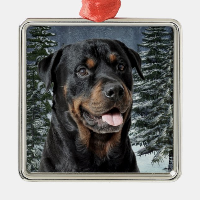 Rottweiler Christmas Ornament (Front)