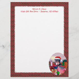 Rottweiler Christmas Surprise