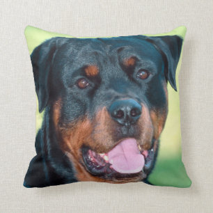 Rottweiler Cushion