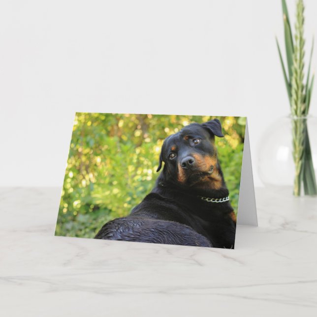 rottweiler cute card (Front)