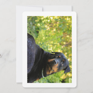 rottweiler cute invitation