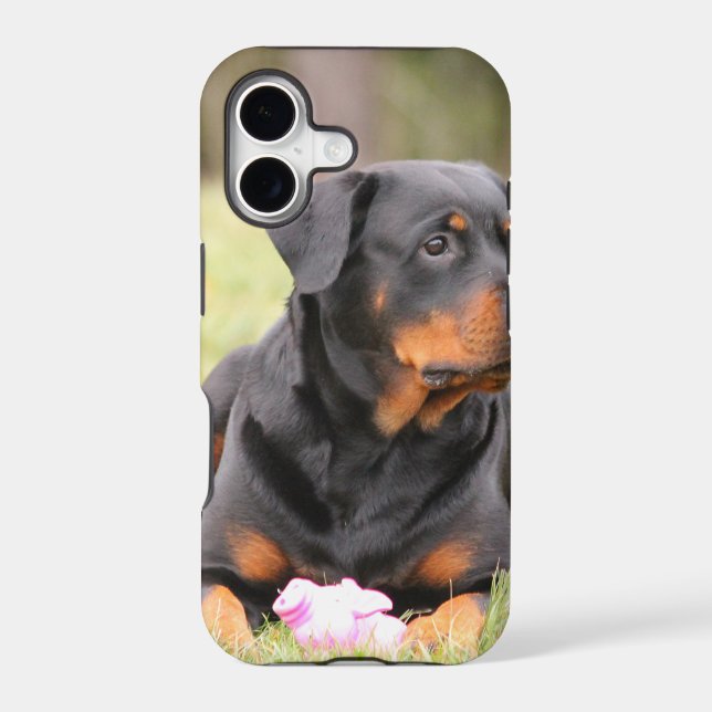 Rottweiler Dog (Back)