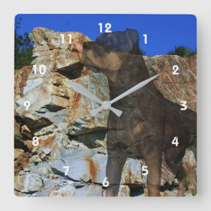 Rottweiler Dog And Rock Wall Cliff Fantasy Square Wall Clock