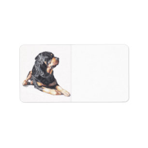 Rottweiler Dog Art Return Address Labels