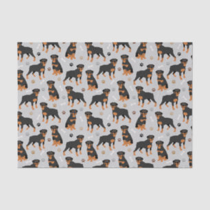 Rottweiler Dog Bones and Paws Tissue Paper