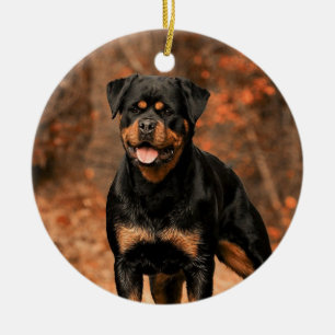 Rottweiler Dog Ceramic Ornament