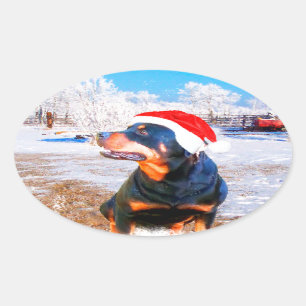 Rottweiler Dog Christmas Painting Oval Sticker
