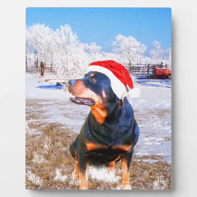 Rottweiler Dog Christmas Painting Plaque (Front)