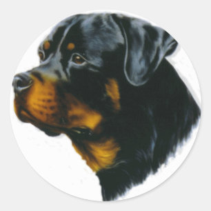 rottweiler dog classic round sticker