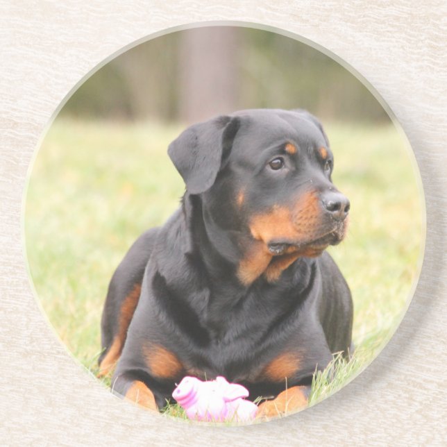 Rottweiler Dog Coaster (Front)
