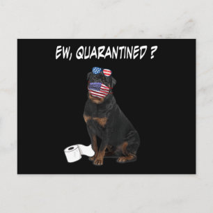Rottweiler Dog Ew Quarantined Dog Wearing A Face Holiday Postcard