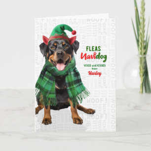 Rottweiler Dog Funny Fleas Navidog with Name Holiday Card