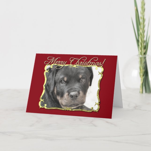 Rottweiler dog holiday card (Front)