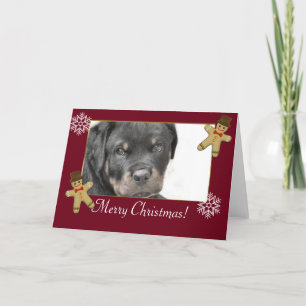 Rottweiler dog holiday card
