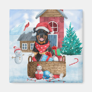 Rottweiler Dog In snow Christmas Dog House  Magnet