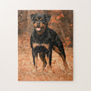 Rottweiler Dog Jigsaw Puzzle