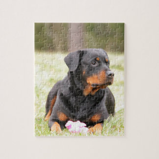 Rottweiler Dog Jigsaw Puzzle