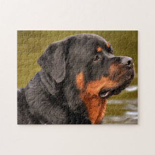 Rottweiler Dog Jigsaw Puzzle