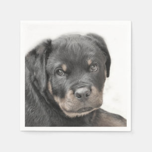 Rottweiler dog napkin