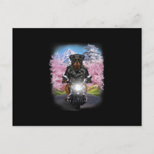 rottweiler dog on motorcycle tour japanese sakura holiday postcard