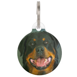 Rottweiler Dog. Pet Tag