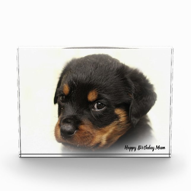 Rottweiler Dog Photo Block (Front)