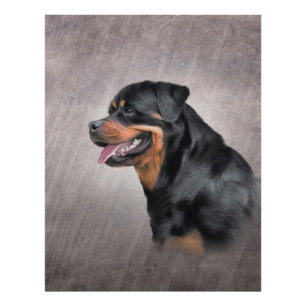Rottweiler dog photo print