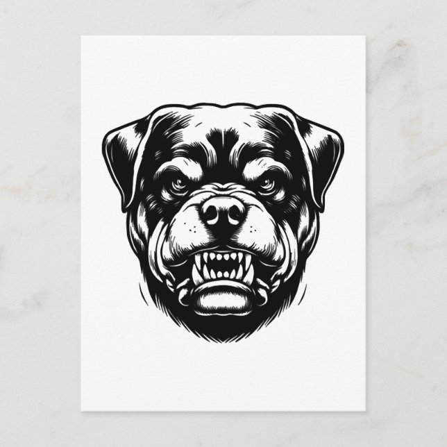 Rottweiler Dog  Postcard (Front)