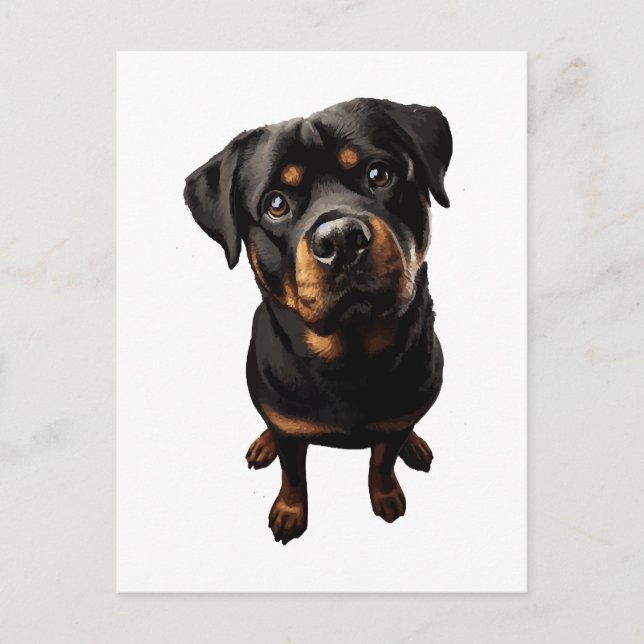rottweiler dog postcard (Front)