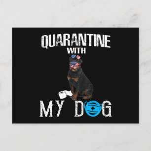 Rottweiler Dog Quarantine With My Dog Funny Gifts Holiday Postcard