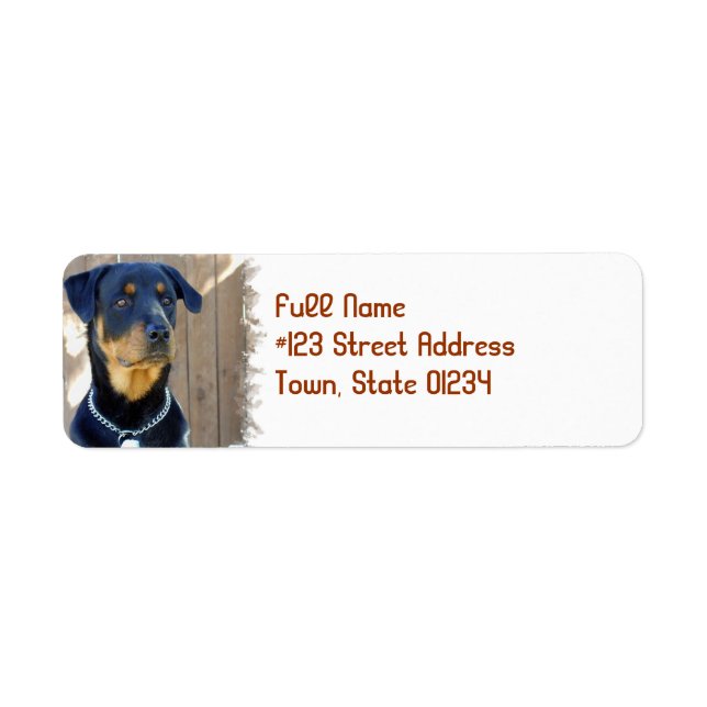 Rottweiler Dog Return Address Label (Front)