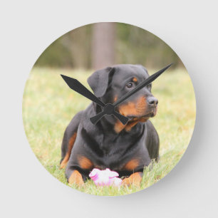 Rottweiler Dog Round Clock