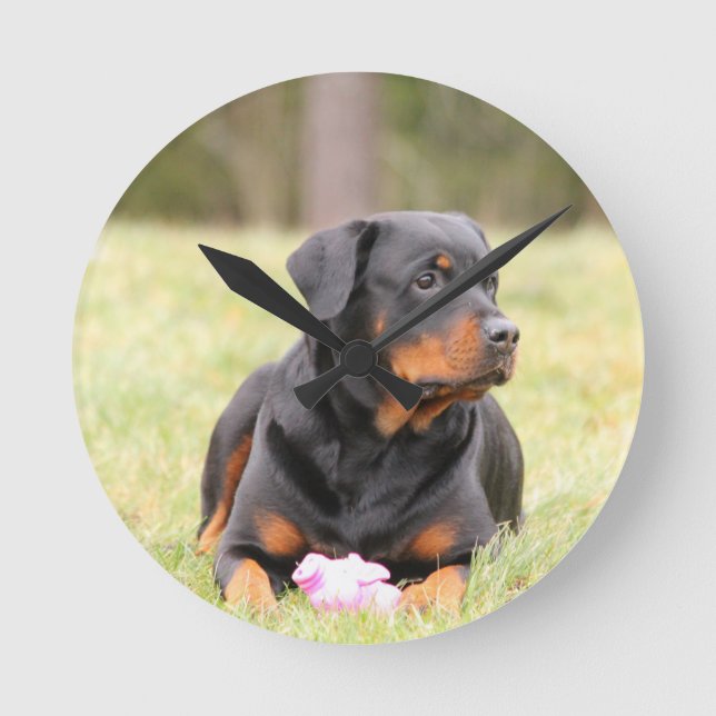 Rottweiler Dog Round Clock (Front)
