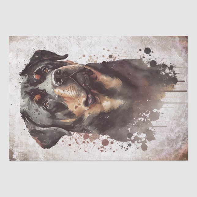 Rottweiler Dog Watercolor Tissue Paper (Front)