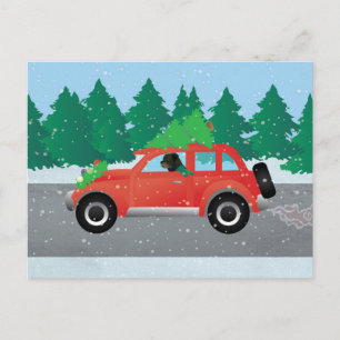 Rottweiler Driving Christmas Car Holiday Postcard