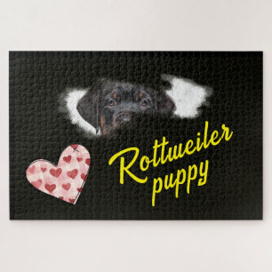 Rottweiler Eyes Solid Colour 1000 piece Jigsaw Puz Jigsaw Puzzle