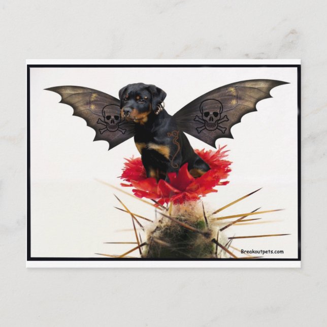 Rottweiler Fairy Dog Postcard (Front)