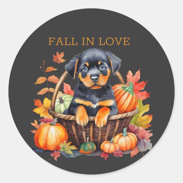 Rottweiler Fall In Love Classic Round Sticker (Front)