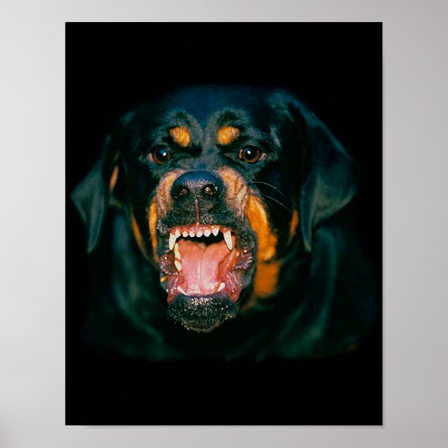 Rottweiler funny poster (Front)
