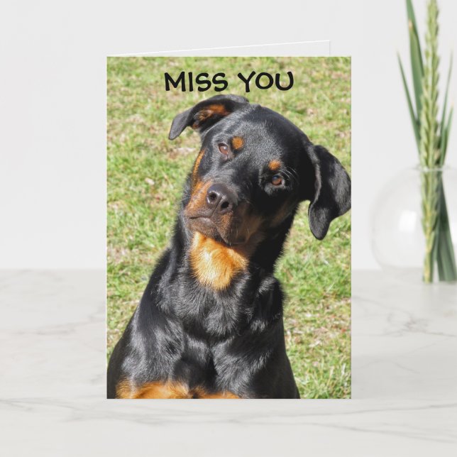 Rottweiler Get Well Soon Card (Front)