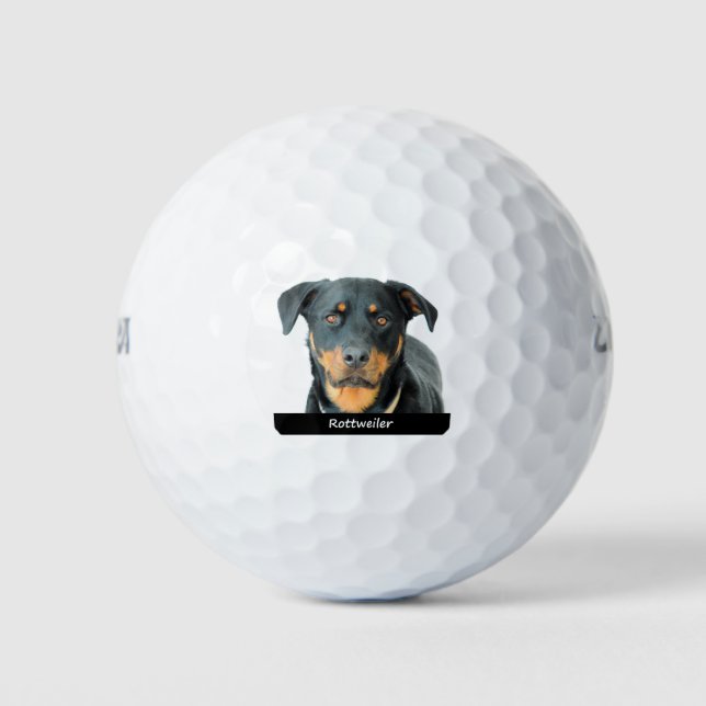 Rottweiler Golf Balls (Front)