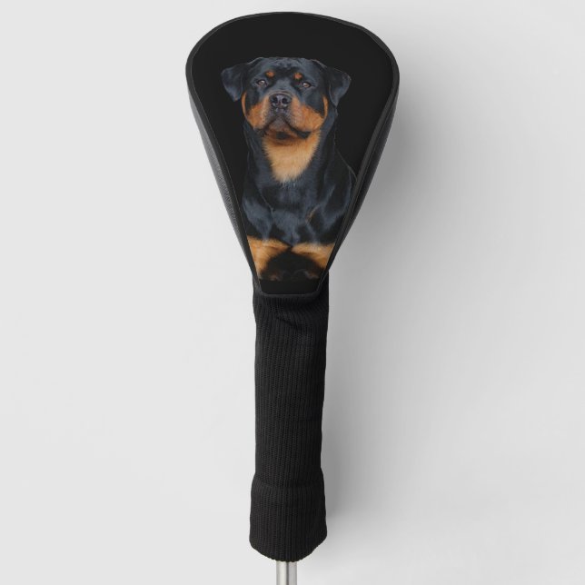 Rottweiler   golf head cover (Front)