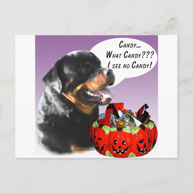 Rottweiler Halloween Candy Postcard (Front)