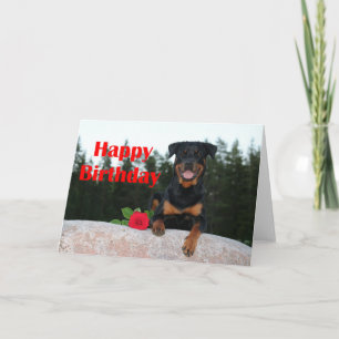 rottweiler happy birthday card
