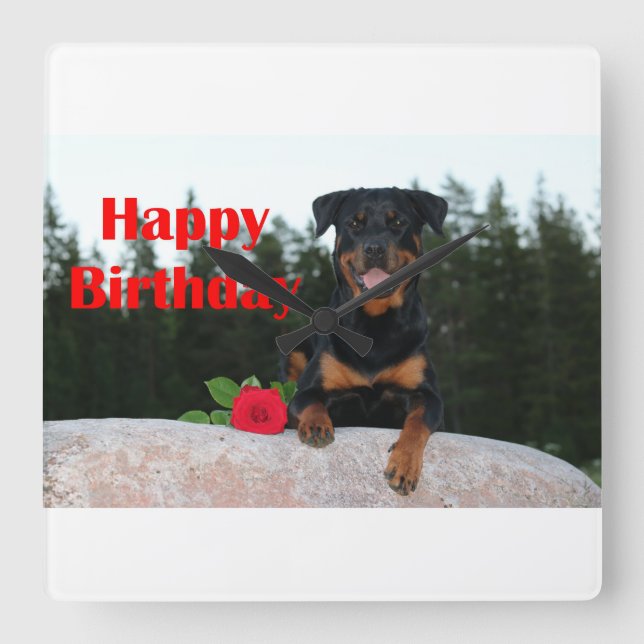 rottweiler happy birthday square wall clock (Front)